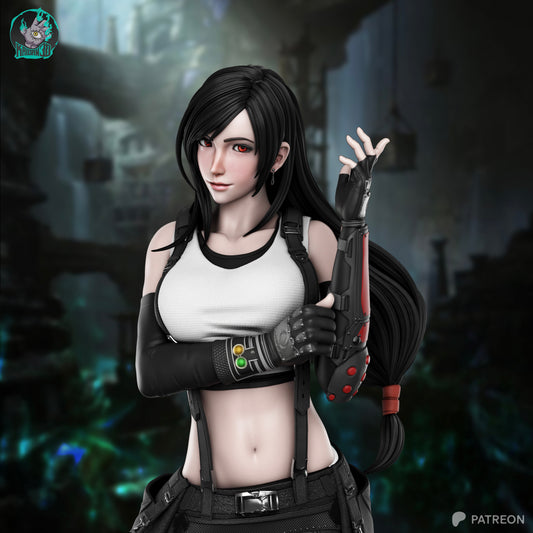 Tifa Lockhart - Unassembled and Unpainted Garage Kit - Model Designed by Kaidan3D
