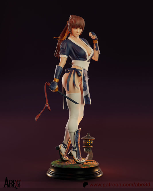 Kasumi (VARIANT PARTS INCLUDED - Unassembled and Unpainted Garage Kit - Model Designed by Abe3d