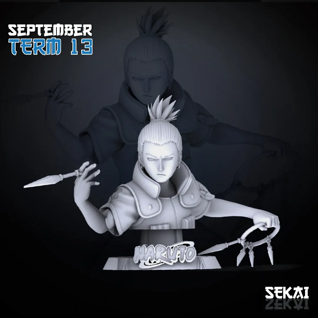 Shikamaru - Unassembled and Unpainted Garage Kit - Model Designed by Sekai3D